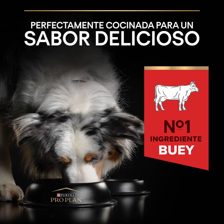 10 kg Pro Plan Adult Medium y Large Duo D&eacute;lice Buey pienso para perros, , large Imagen numero 7
